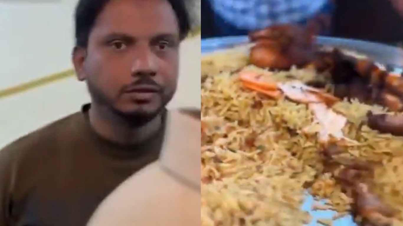 Cockroach In Mandi