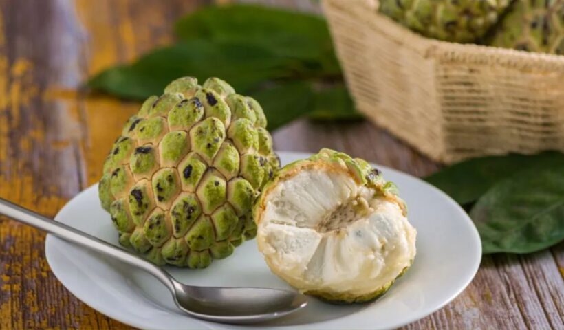 Custard Apple Benefits