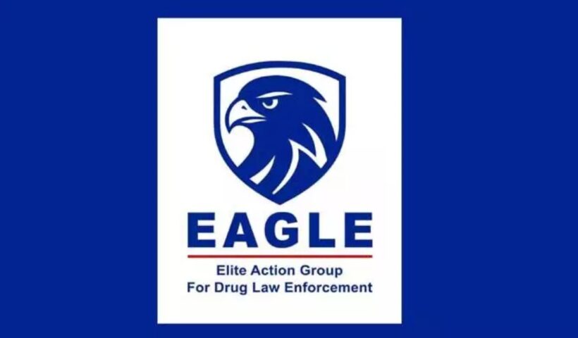 Eagle Team