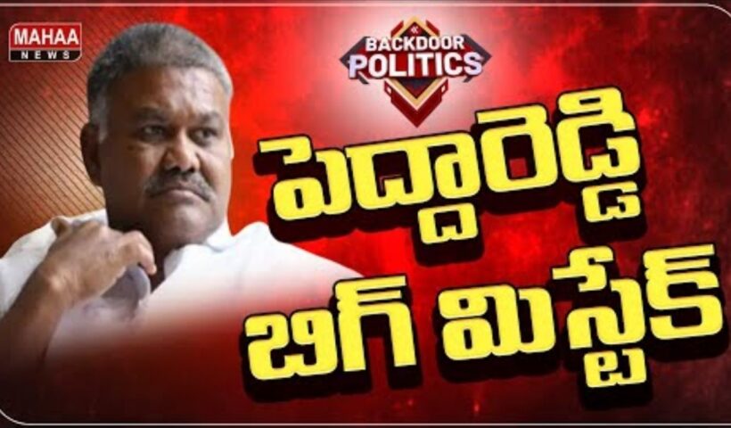 Peddareddy Big Mistake