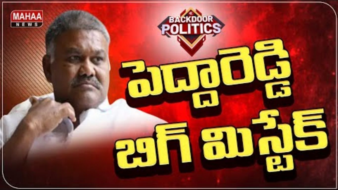 Peddareddy Big Mistake