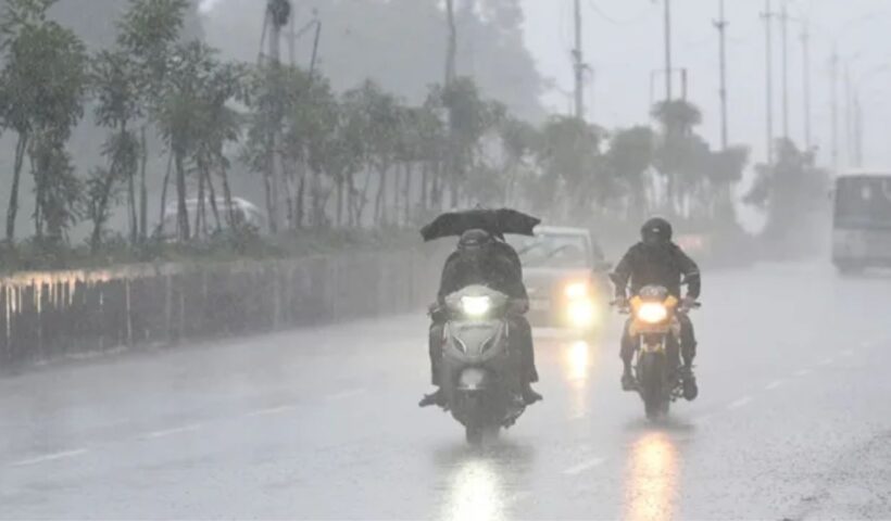 Rain Alert