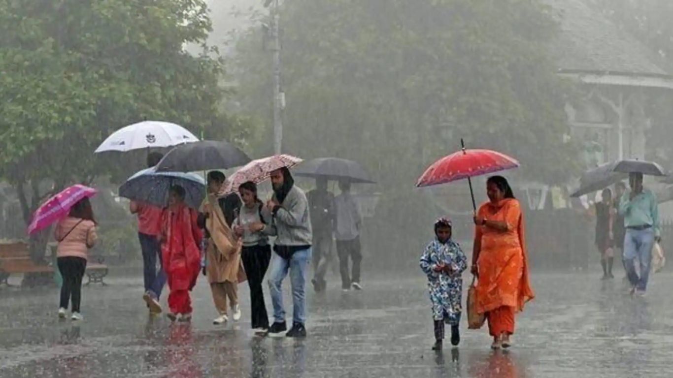 Rain Alert