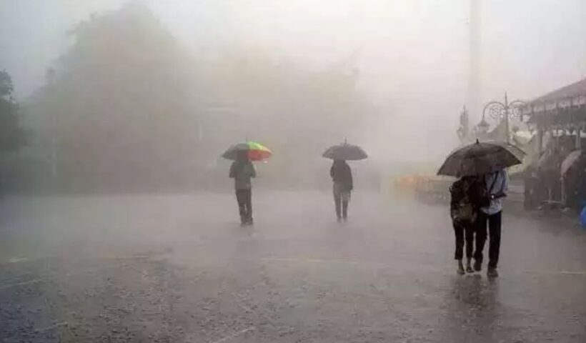 Rain Alert