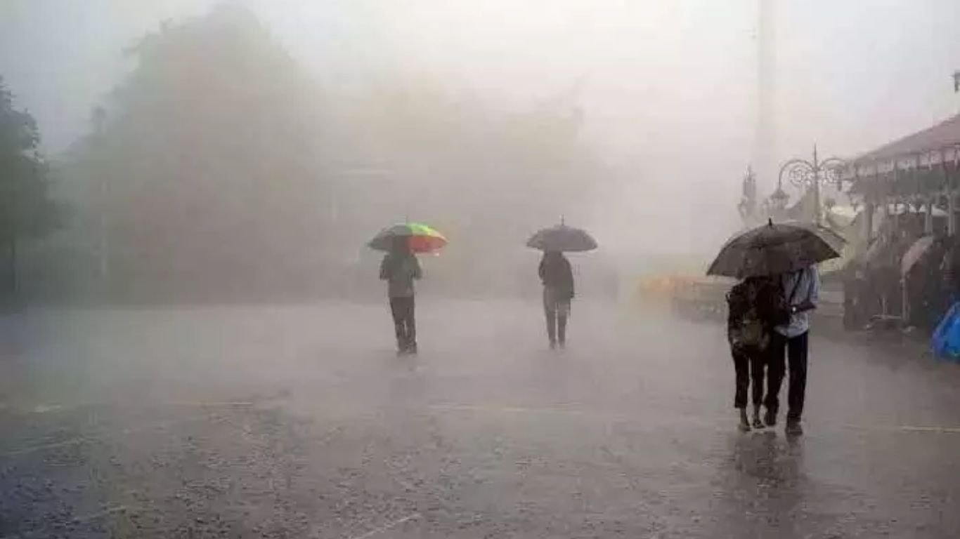Rain Alert
