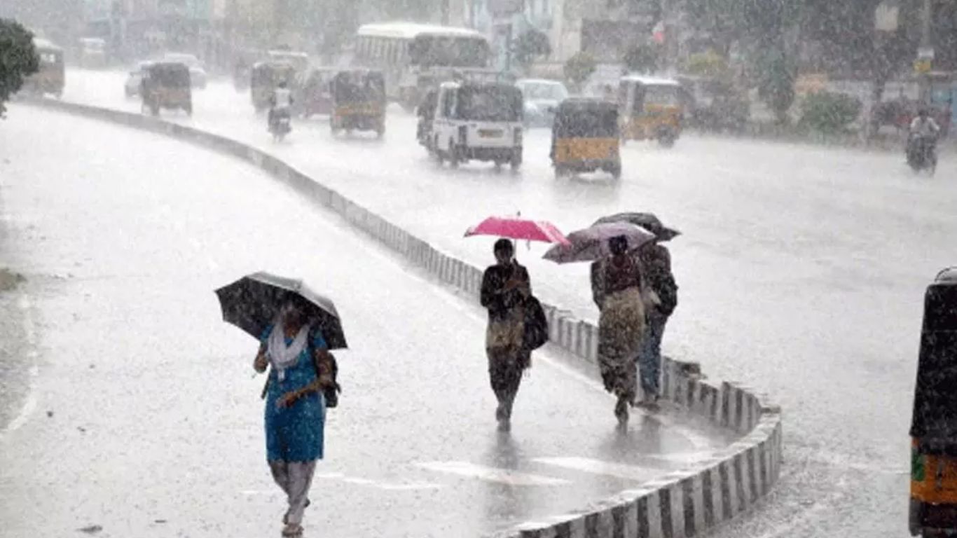 Rain Alert