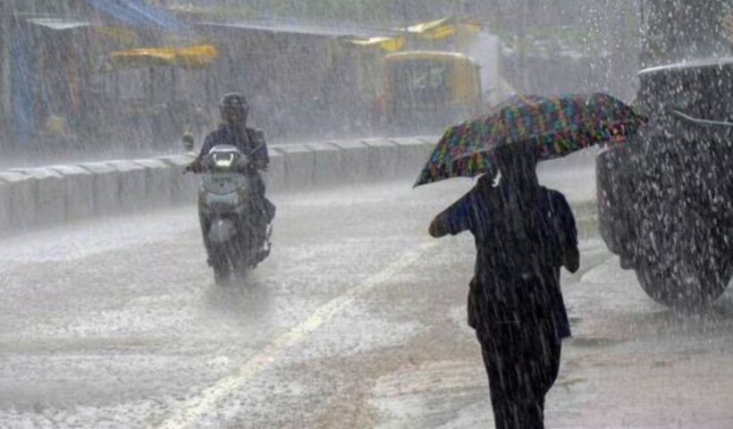 Rain Alert