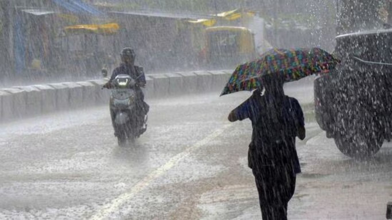 Rain Alert