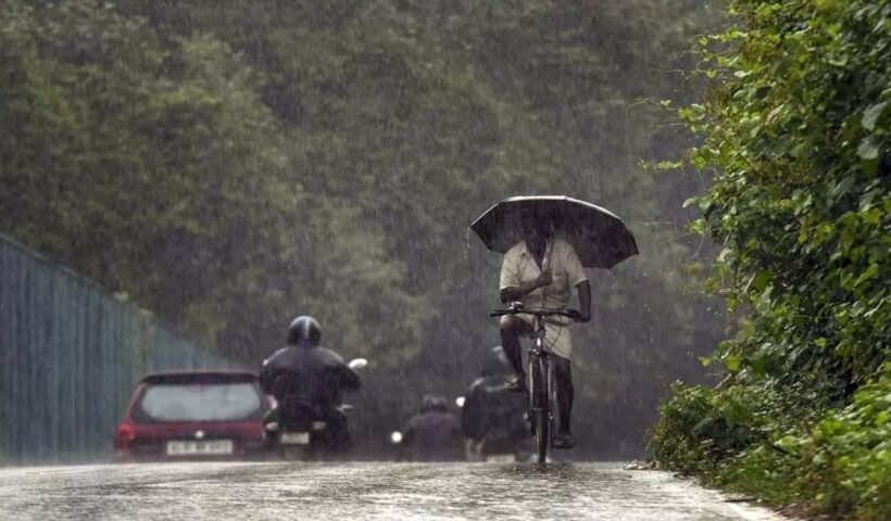 Rain Alert
