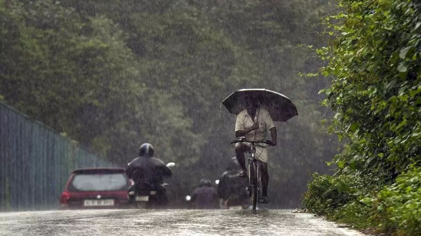Rain Alert