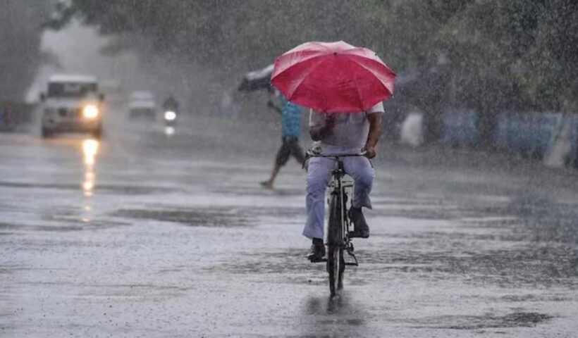 Rain Alert