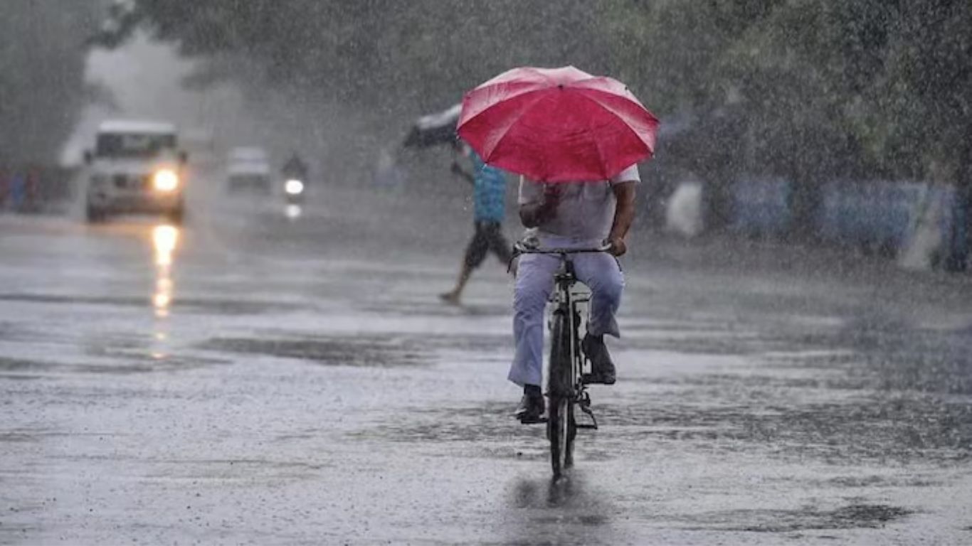 Rain Alert