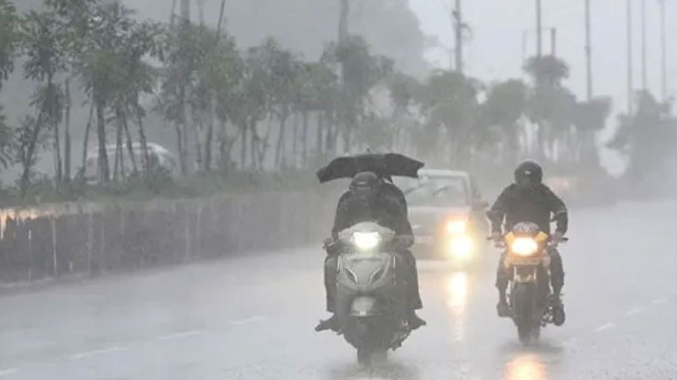 Rain Alert