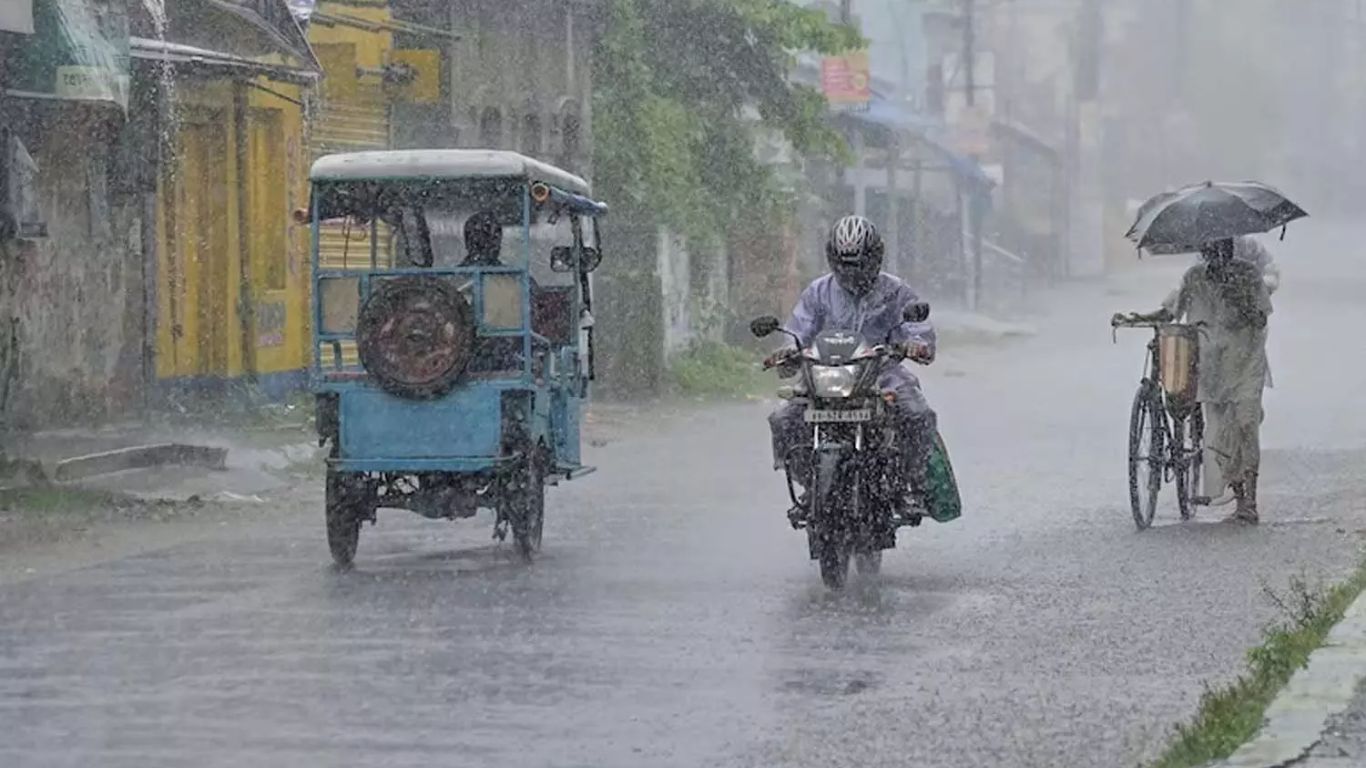 Rain Alert