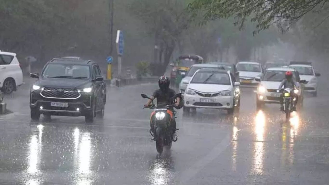 Rain Alert