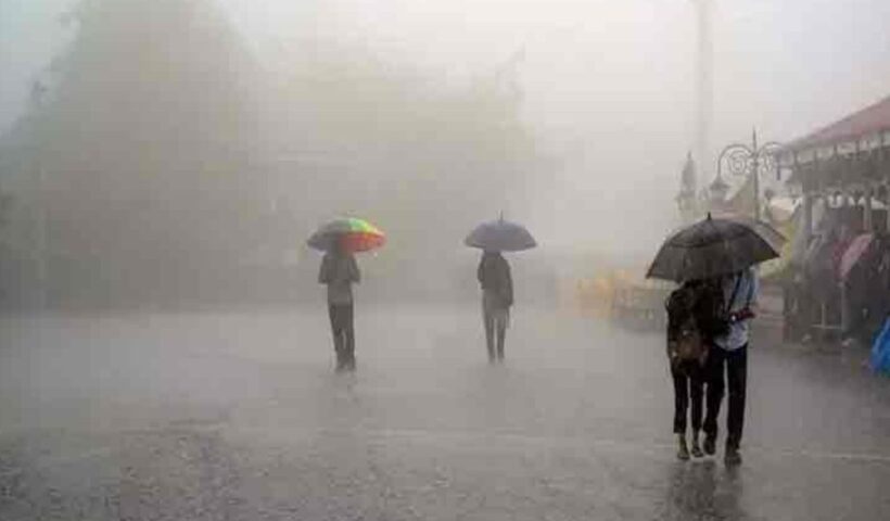 Rain Alert