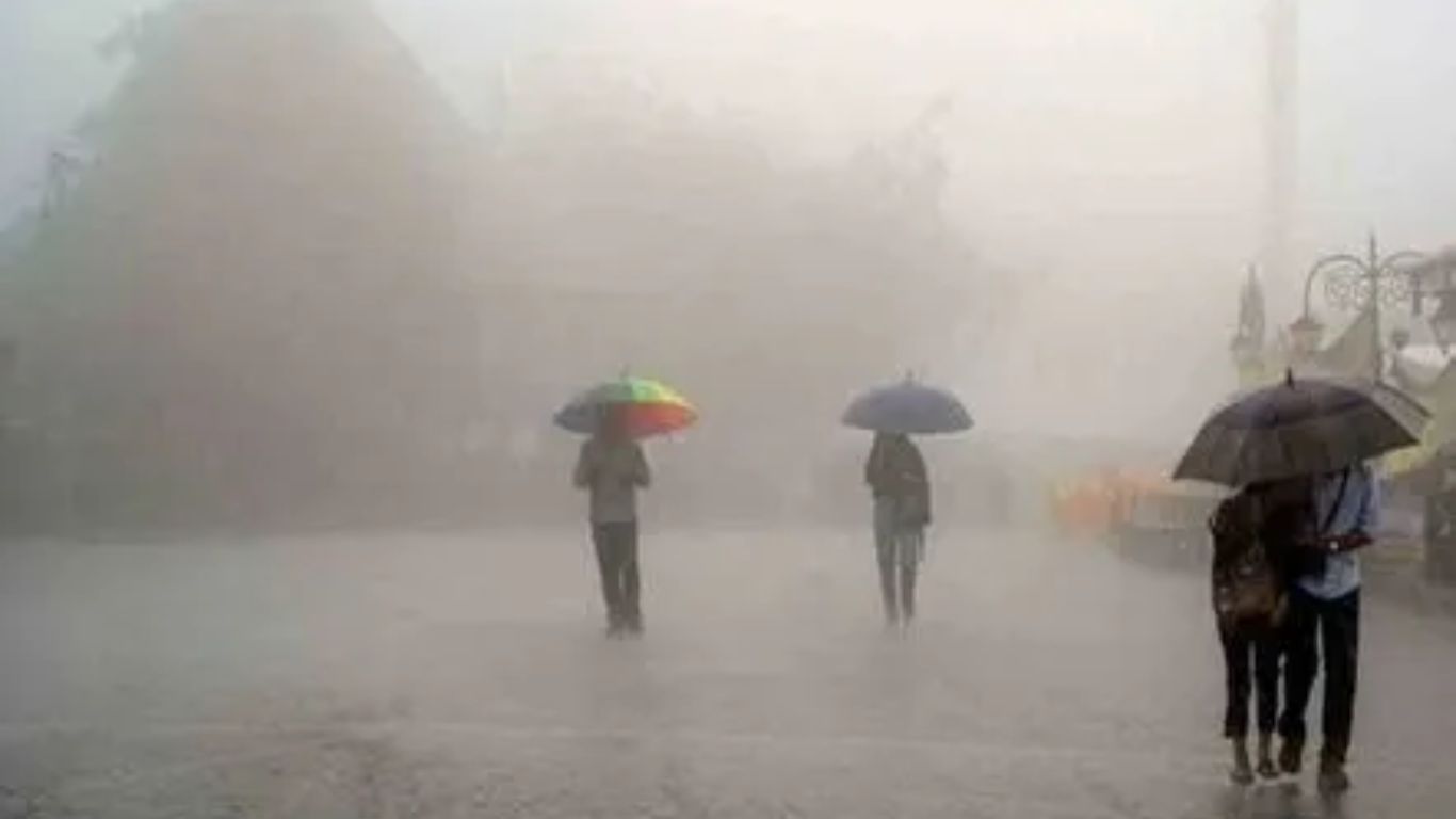 Rain Alert