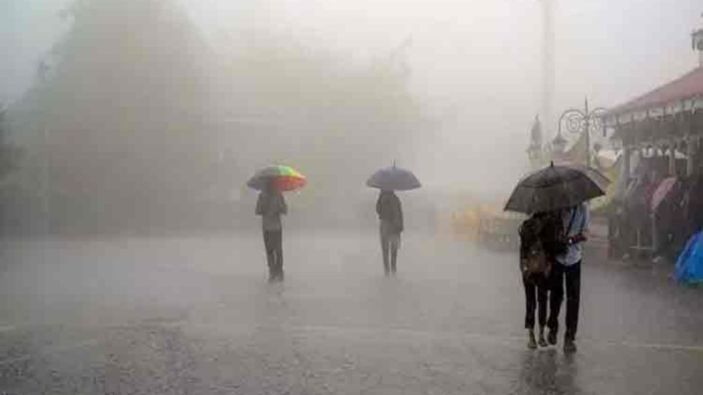 Rain Alert
