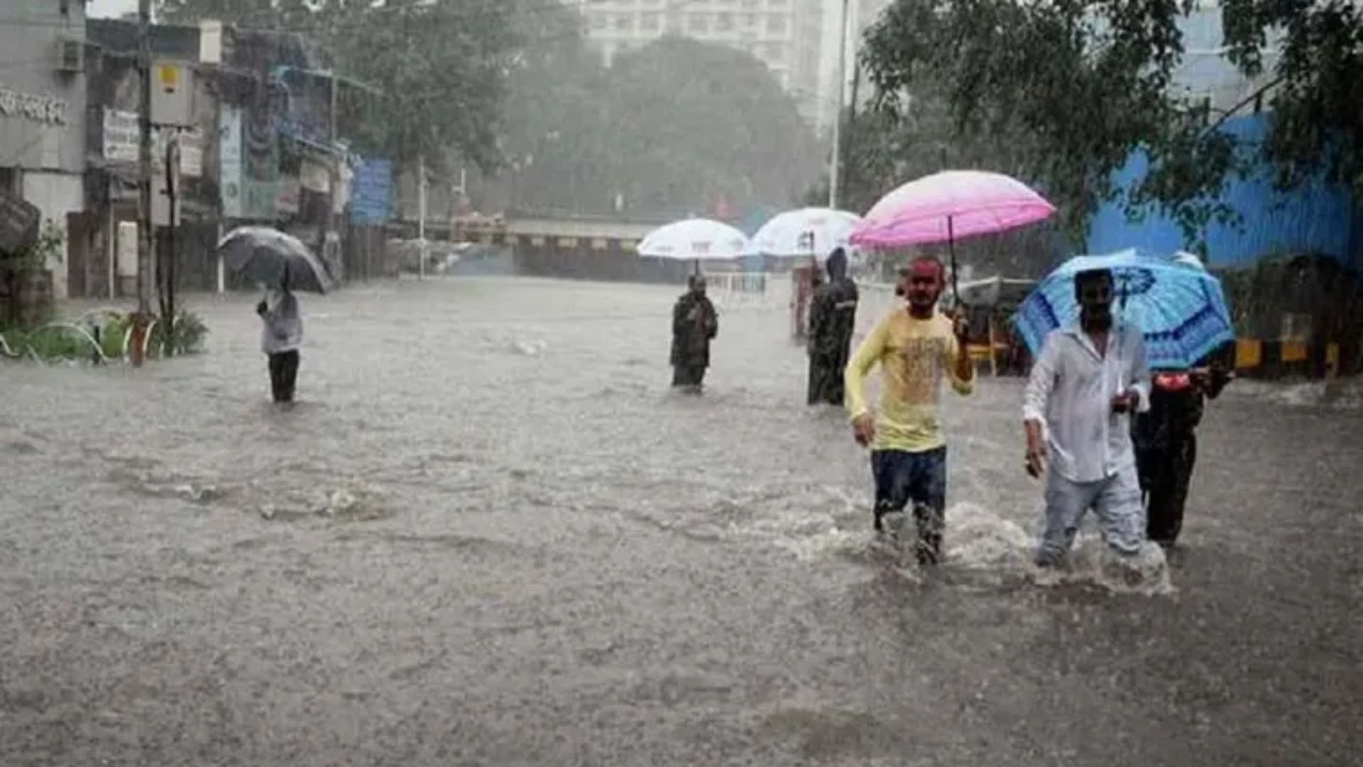 Heavy Rain Alert: