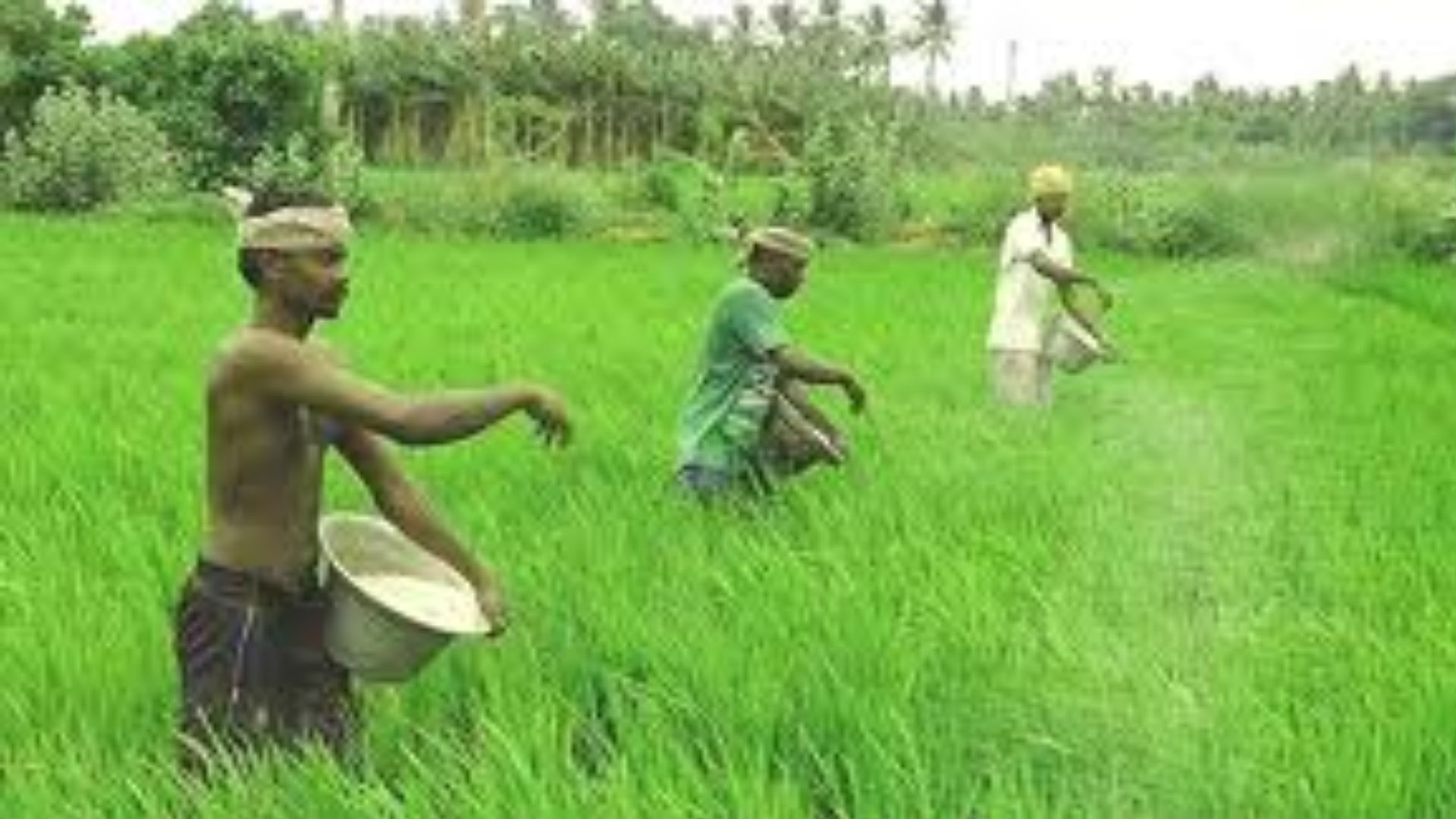 Telangana: