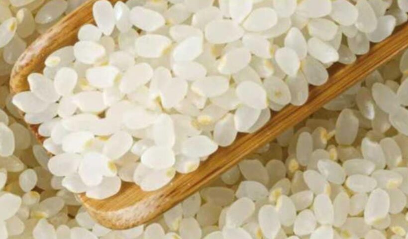 Rice Price: