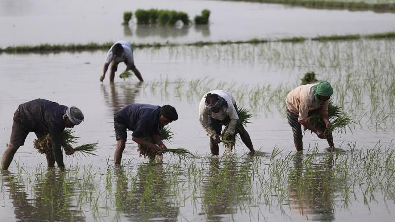 Amaravati Farmers