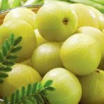 Amla