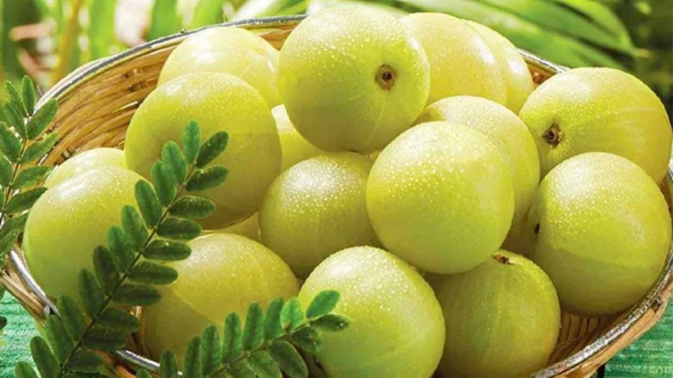 Amla