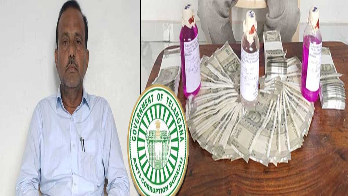 DCO Arrested