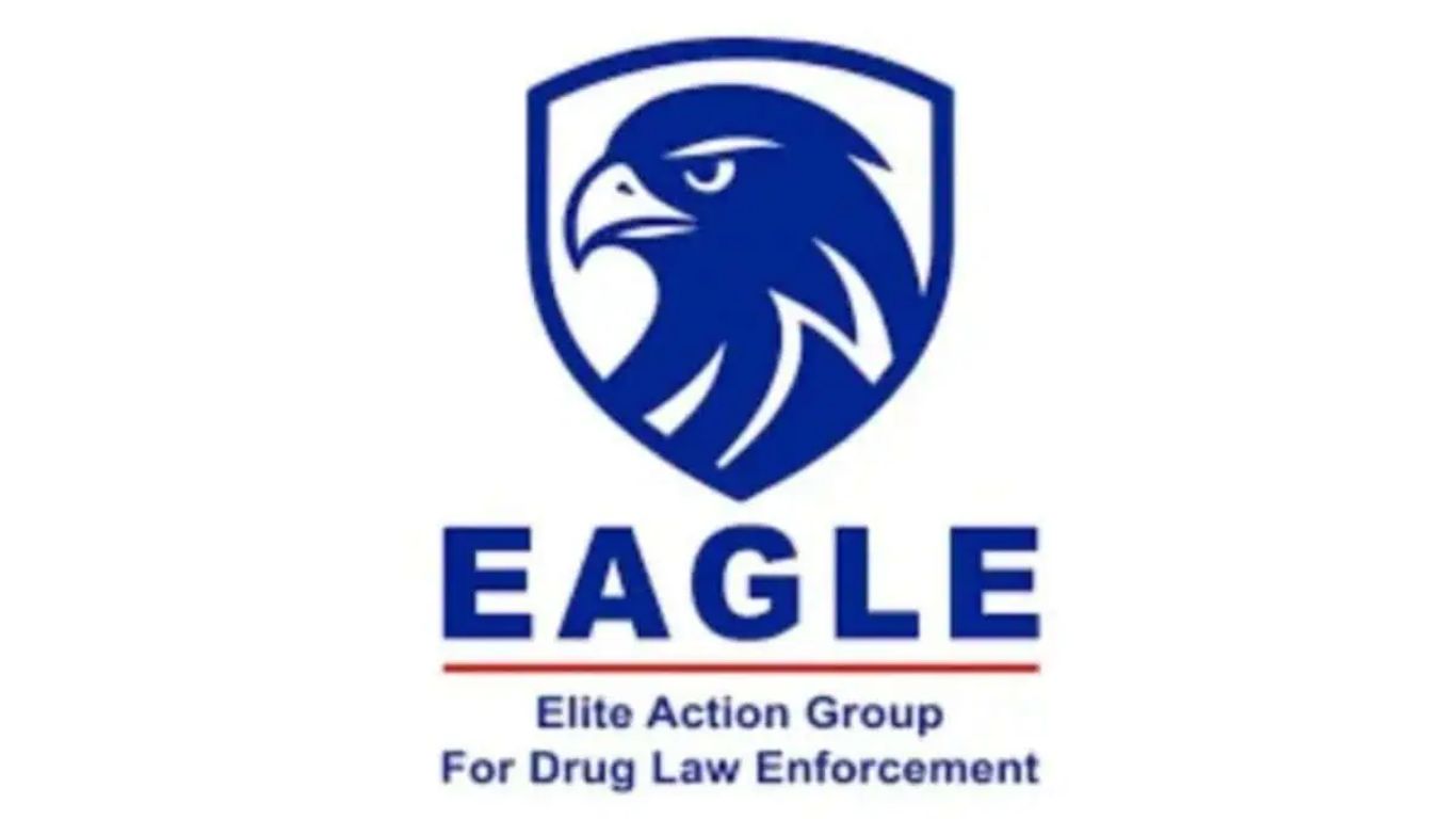 Eagle Team
