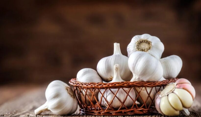 Garlic Benefits