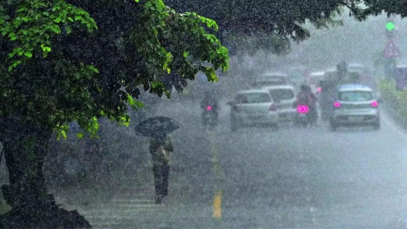 Heavy Rain Alert
