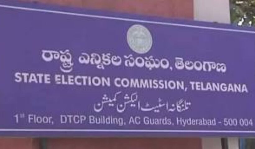 Local Body Elections