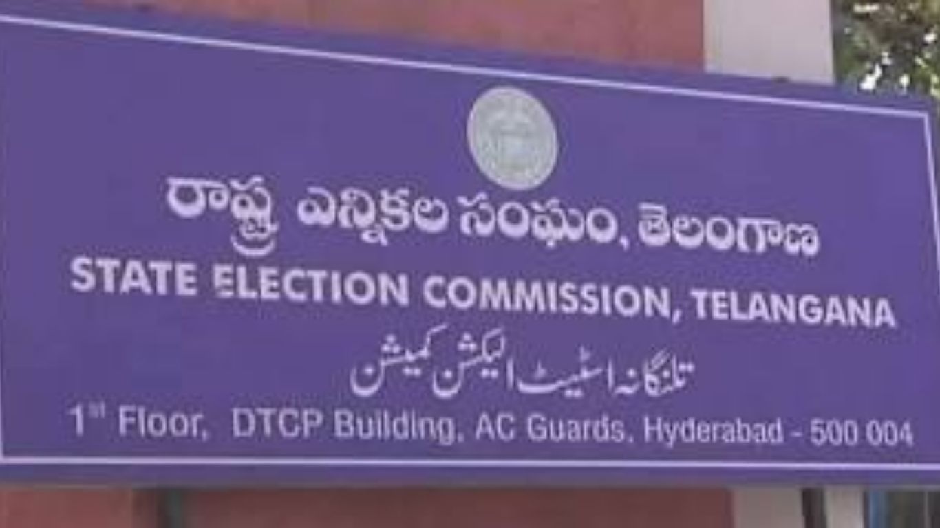 Local Body Elections
