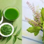 Neem Vs Tulsi