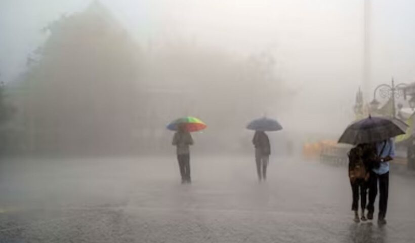 Rain Alert