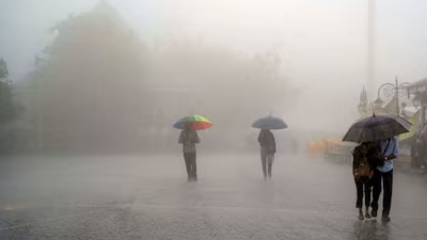 Rain Alert
