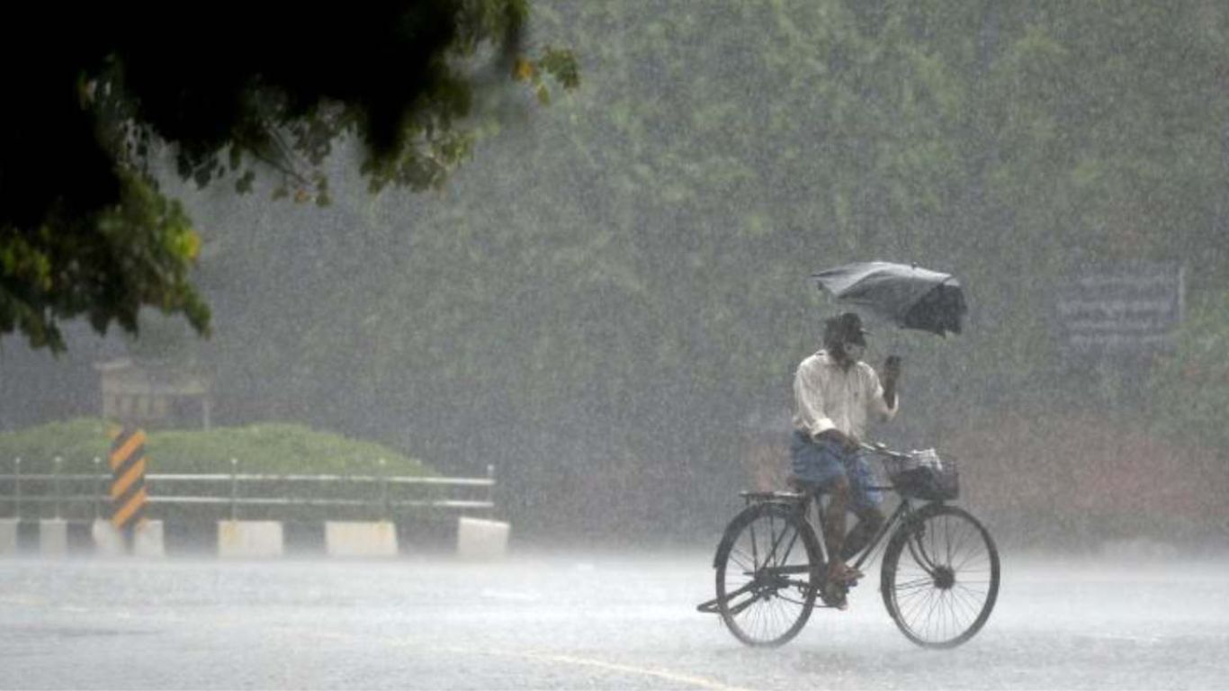 Rain Alert