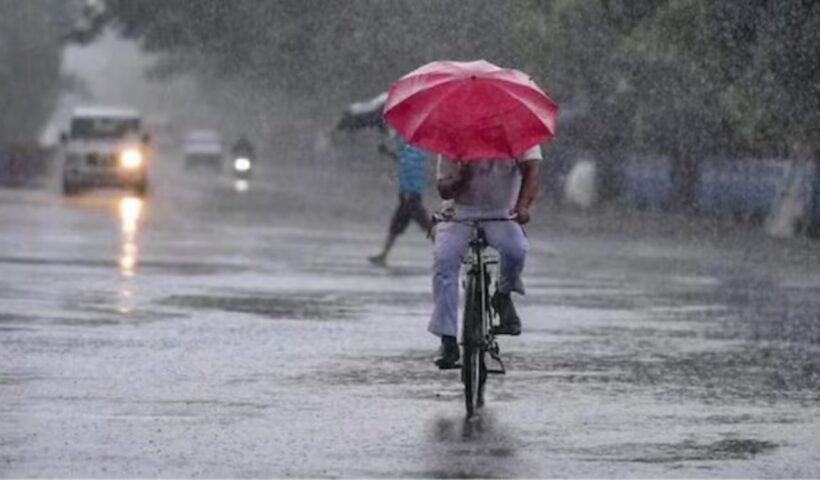 Rain Alert