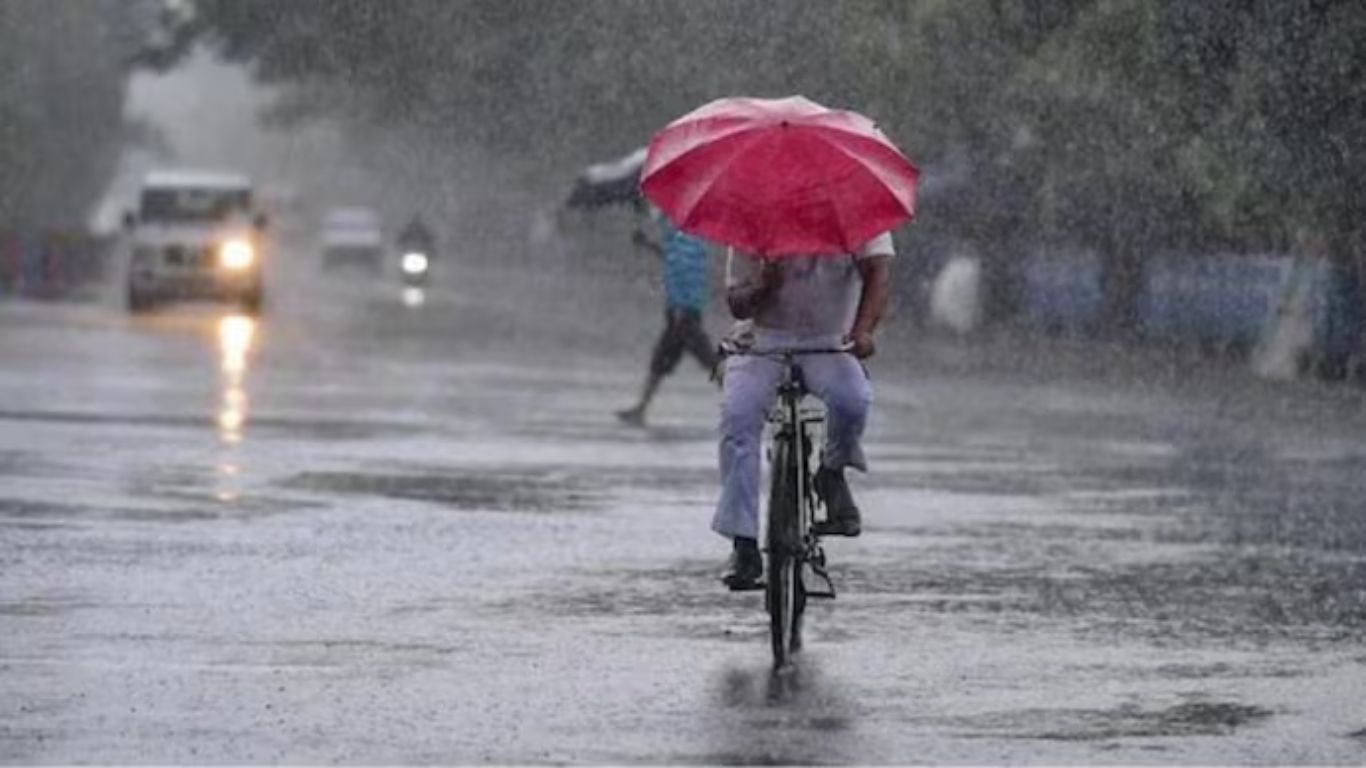 Rain Alert