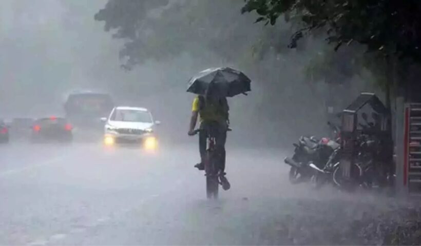 Rain Alert