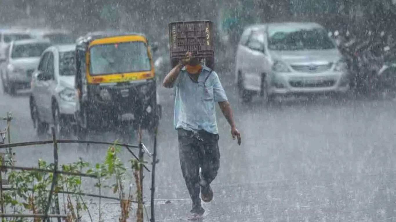 Rain Alert