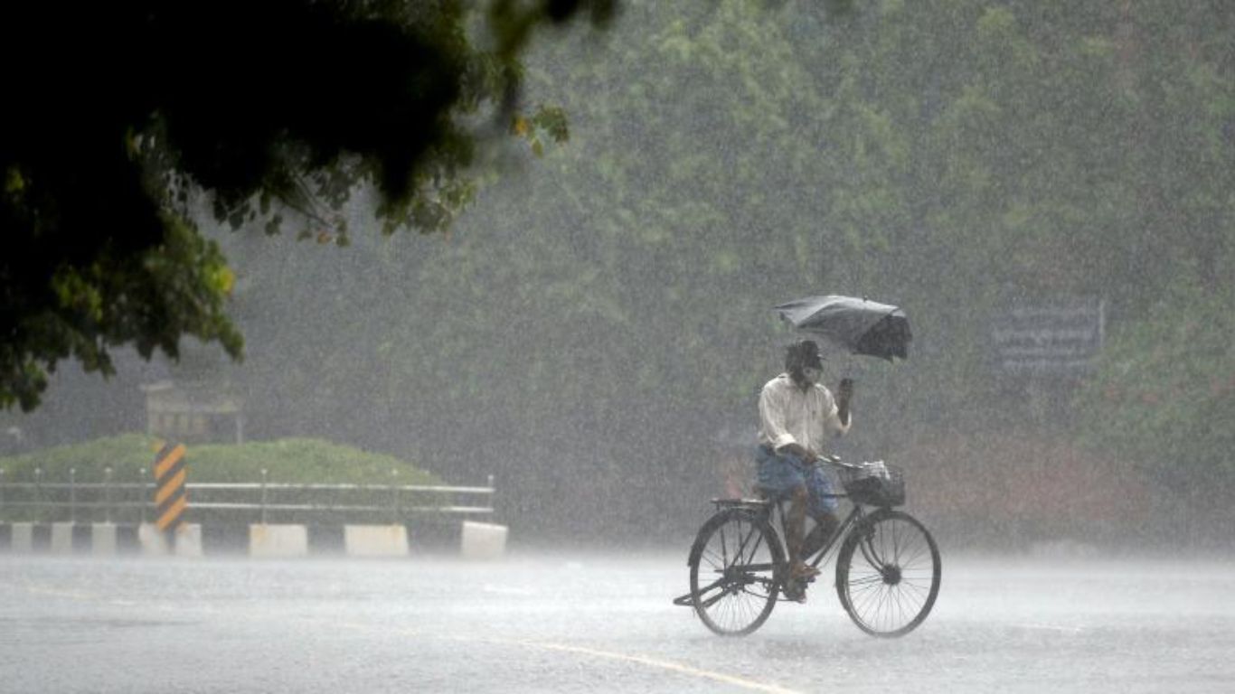 Rain Alert