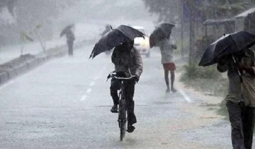 Rain Alert
