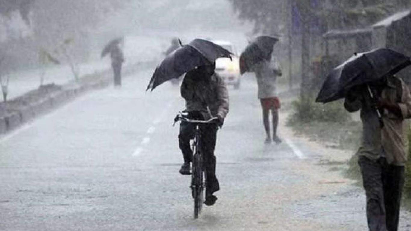 Rain Alert