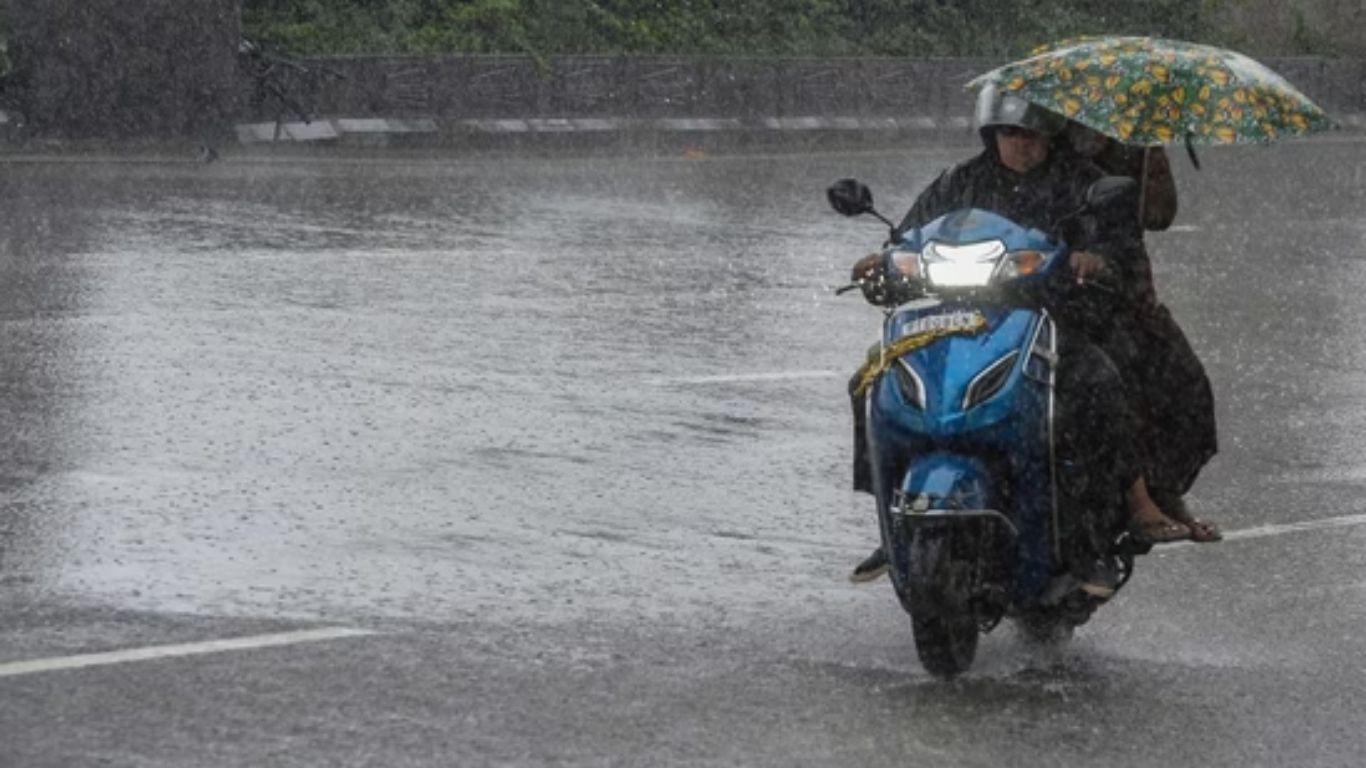 Rain Alert
