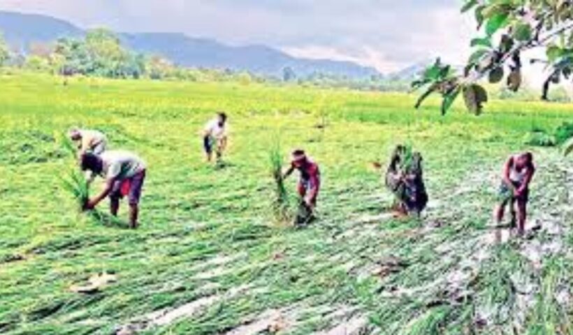 Cyclone Montha Effect: