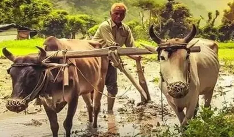 PM Kisan yojana: