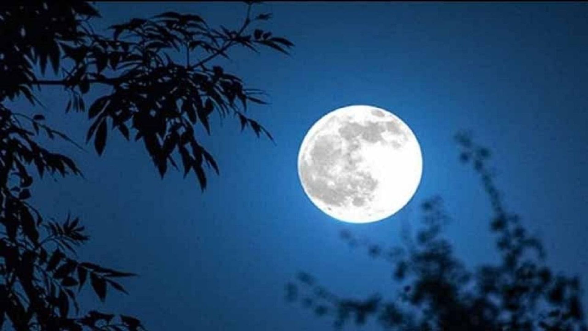Super Moon: