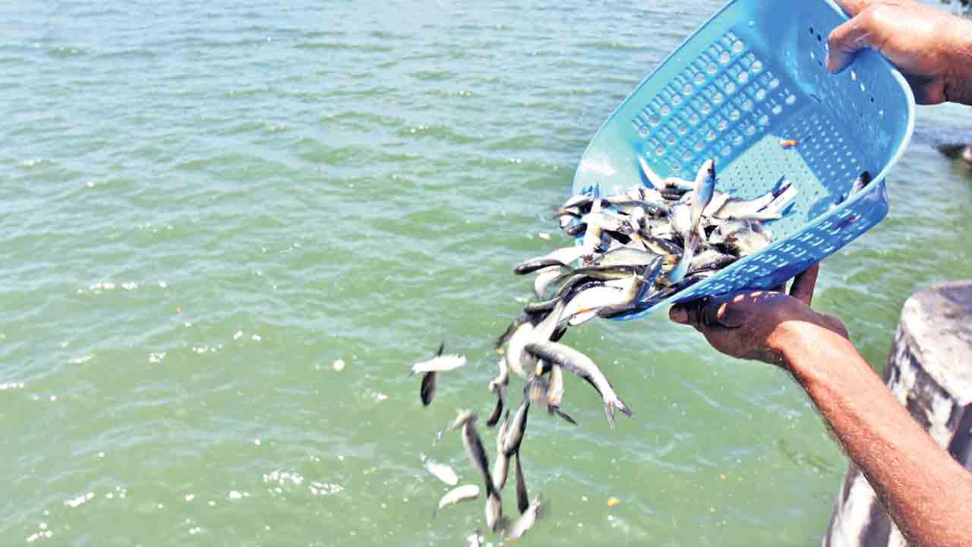 Telangana:
